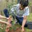 Volunteering and Careers