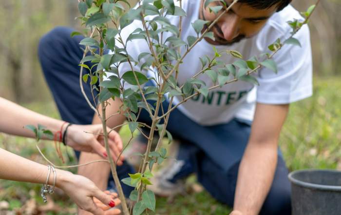 Volunteering and Careers